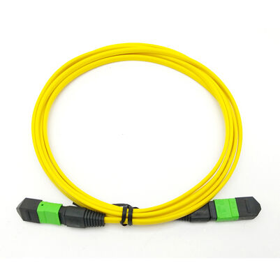 48 Fibers Ultra Low Loss MPO Trunk Cable Type A B C MTP Trunk Cable for 400G 800G Data Center