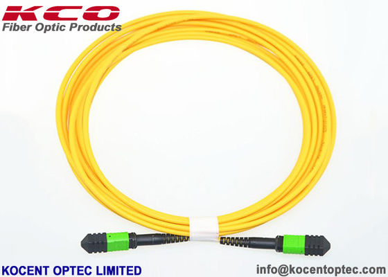 8cores 12cores 24cores LSZH Type A B C MPO MTP Patch Cord Single Mode MPO Fiber Patch Cable