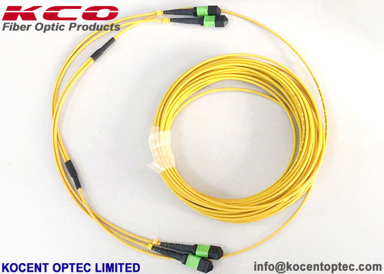 MPO APC 24fo 48cores G657A1 Elite Insertion Loss MTP Cáp cắm thân sợi quang
